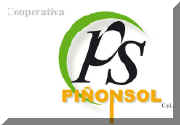 Pi�on-Sol . Pi�ones secados al sol