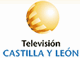 Televisin CyL - Canal 29