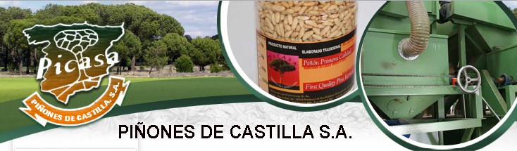 pinones-de-castilla