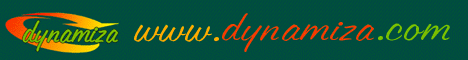 Dise�o profesional de p�ginas web . Alta , posicionamiento y promoci�n en buscadores. Internet . Dynamiza.com . Valladolid
