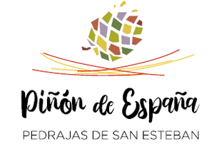 Pin de Espaa - Pedrajas de San Esteban