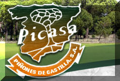 PIONES DE CASTILLA