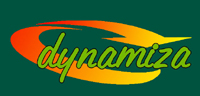 Dynamiza. Diseo de pginas web, Alta y posicionamiento en buscadores